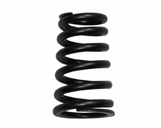 BMW Engine Valve Spring 11341403709